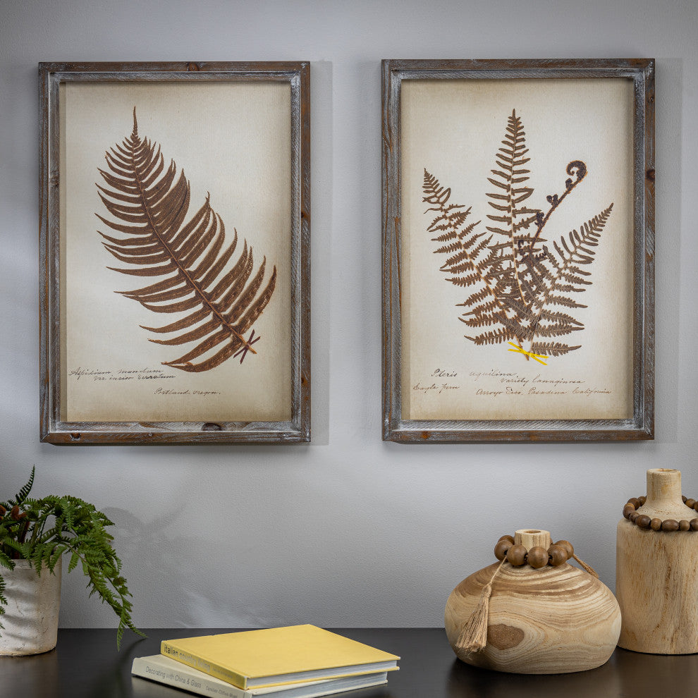 Set of 2, 22" Antique Fern Art, Wooden Frame