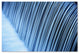 ''Liquid State'' Canvas Art by Philippe Sainte-Laudy