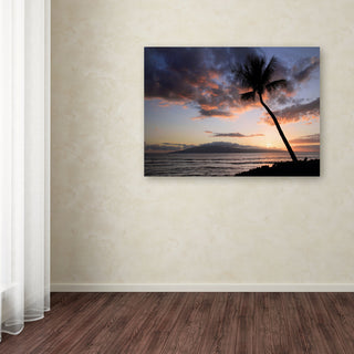 'Palm Tree Maui' Canvas Art by Pierre Leclerc