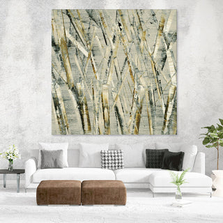 "Birches V" Fine Art Giant Canvas Print, 54"x54"