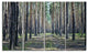Forest Road in Thick Woods, Modern Forest Canvas Art, 48"x28", 4 Panels