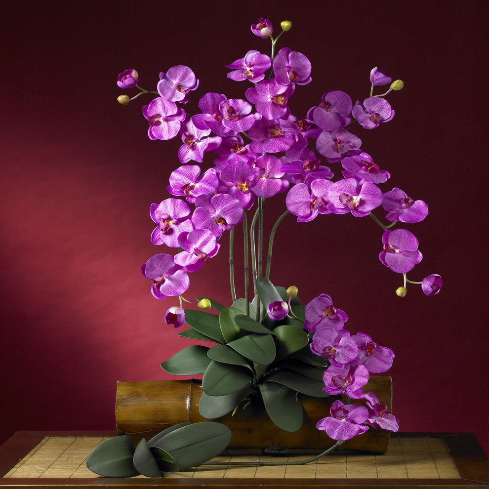 Phalaenopsis Stem, Set of 12, Orchid