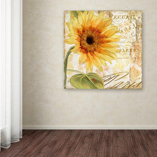 Color Bakery 'Ete I' Canvas Art, 24"x24"