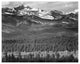 "Long's Peak from Road, Rocky Mountain National Park, 1941" Paper Art, 18"x15"