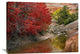 "Maple And Cottonwood Trees In Autumn, Zion National Park, Utah" Artwork