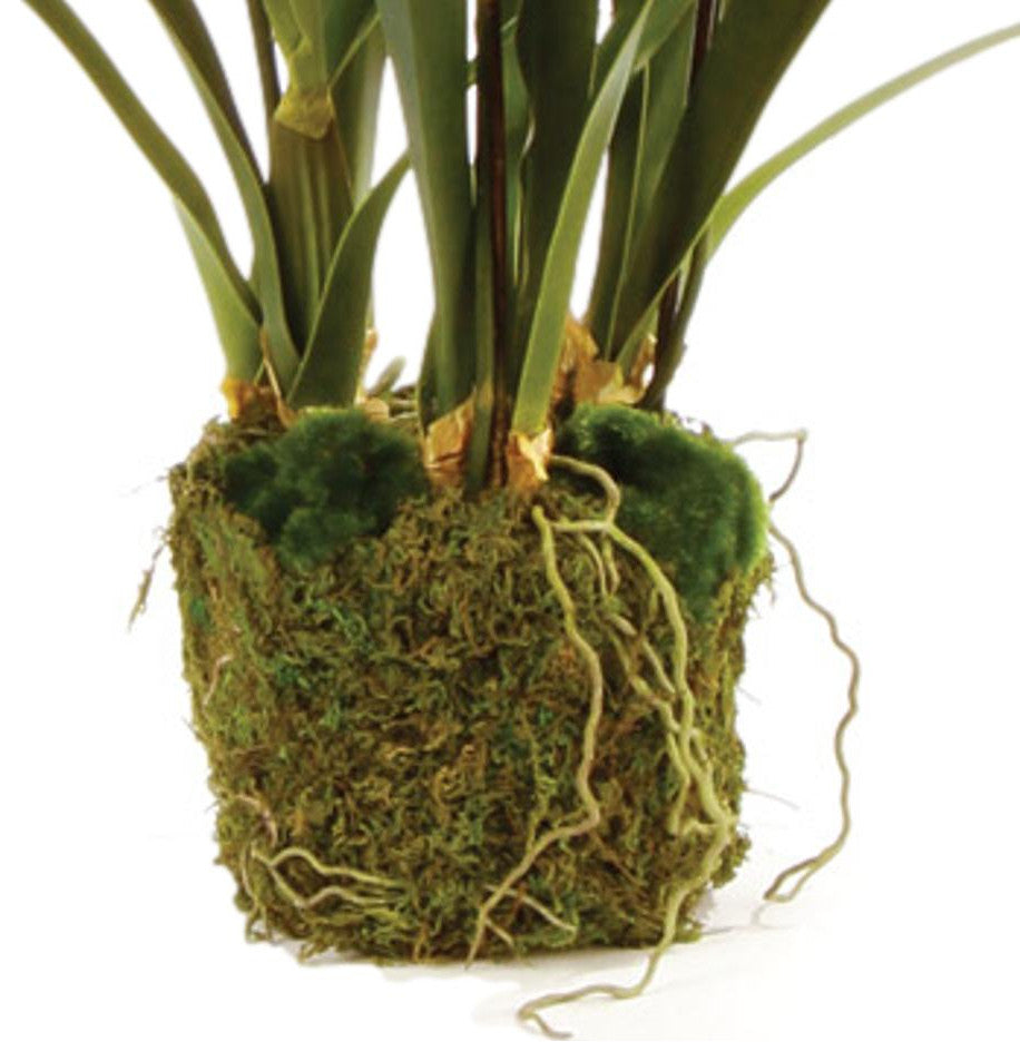 Luxe Yellow Dancing Orchid Faux Floral Artificial Plant 44in Drop In Flowers
