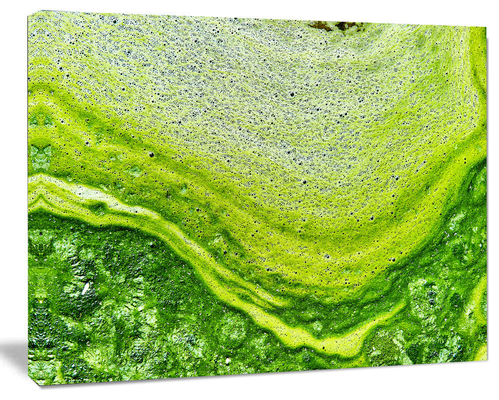 Polluted Water With Algae in Green, Large Abstract Canvas Artwork, 60"x28"