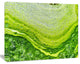 Polluted Water With Algae in Green, Large Abstract Canvas Artwork, 60"x28"