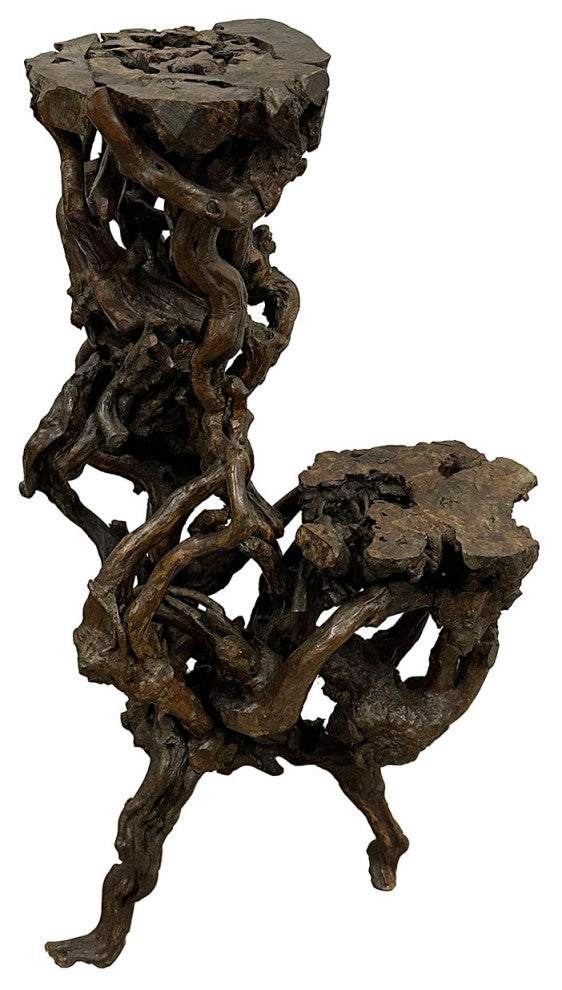 Consigned Mid-Century Chinese Natural Organic Tree Roots Plant Stand/P