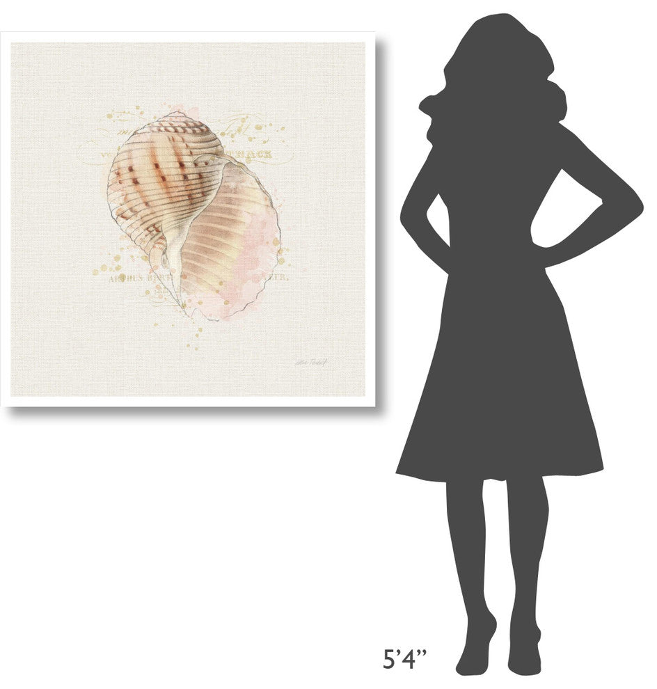 "Shell Collector V" Digital Paper Print by Katie Pertiet, 38"x38"