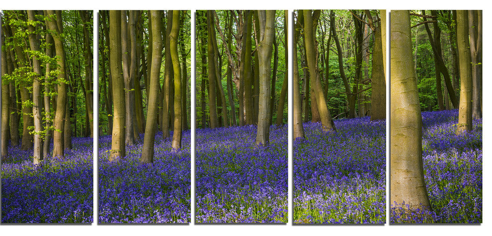 Bluebell Woods in Oxfordshire, Landscape Canvas Art Print, 60"x28", 5 Panels