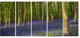 Bluebell Woods in Oxfordshire, Landscape Canvas Art Print, 60"x28", 5 Panels
