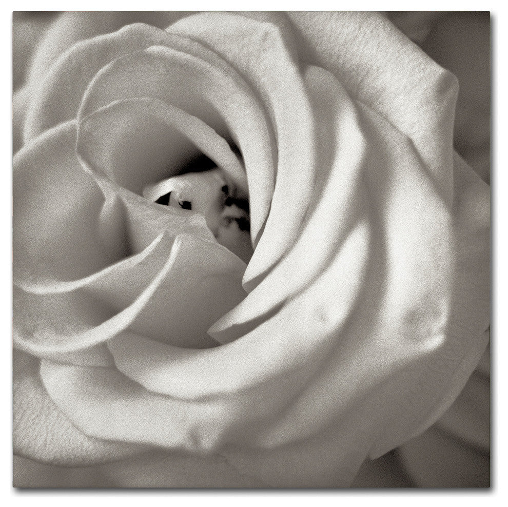 Alan Blaustein ''Florison 43'' Canvas Art, 24x24