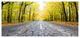 Cracked Road in the Forest, Large landscape Canvas Art Print, 60"x28"