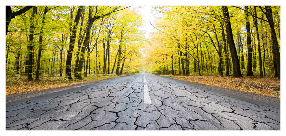 Cracked Road in the Forest, Large landscape Canvas Art Print, 60"x28"