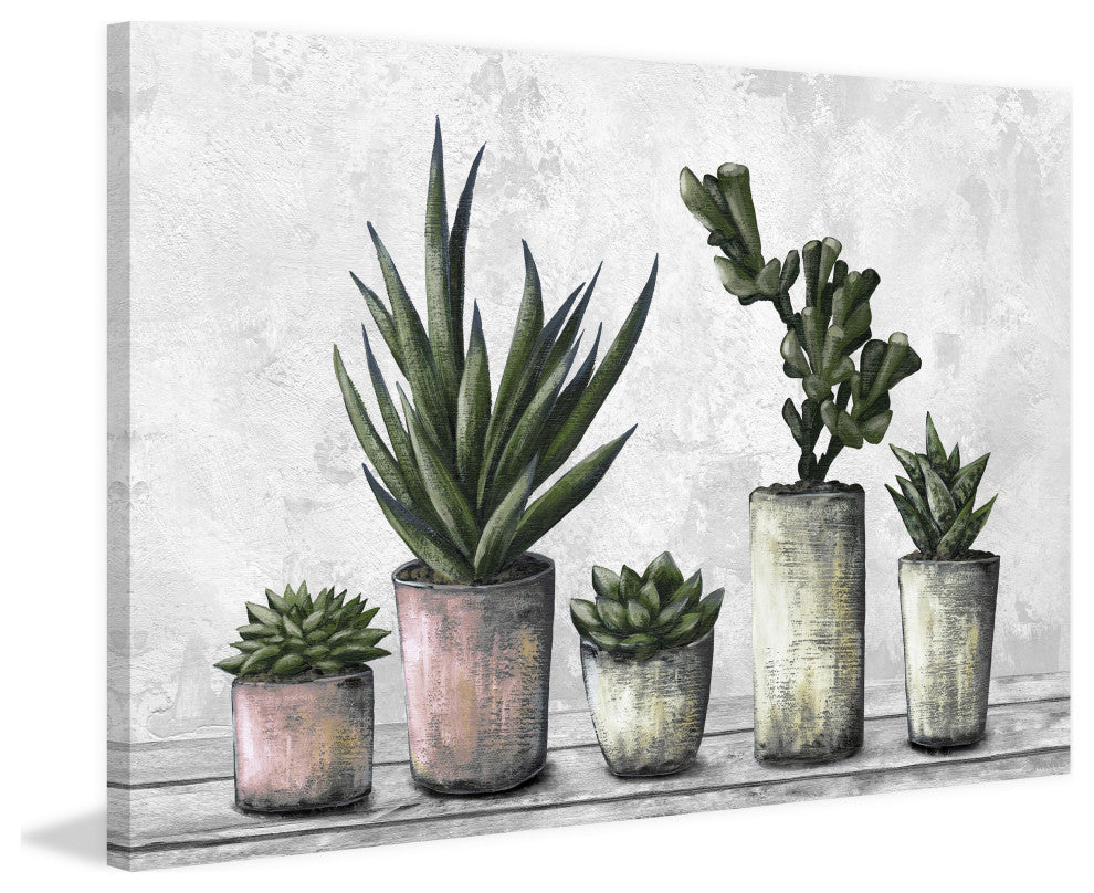 "Earthy Succulent Pots" Painting Print on Wrapped Canvas