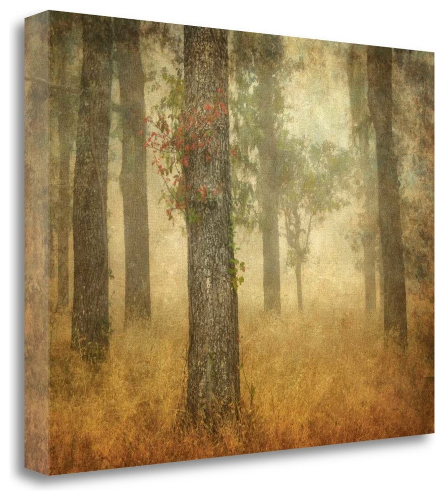 "Oak Grove In Fog" By William Guion, Giclee Print on Gallery Wrap Canvas