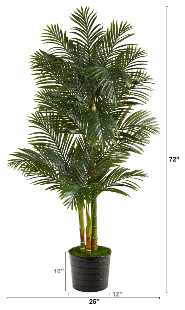 6' Golden Cane Artificial Palm Tree, Black Tin Planter