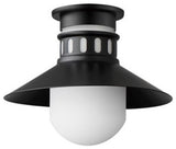 Maxim 35120 Admiralty 12"W Flush Mount Outdoor Ceiling Fixture - Black