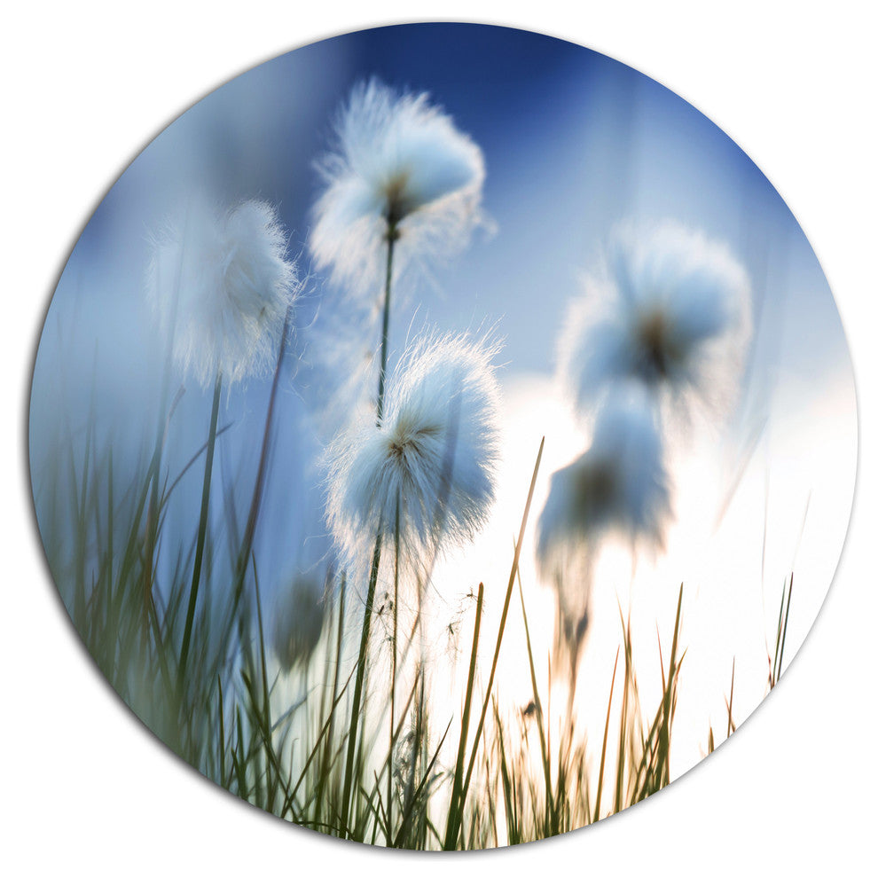 Beautiful Polar White Flowers, Floral Round Wall Art, 11"