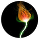 Fiery Fractal Flower With Stem, Floral Round Wall Art, 36"