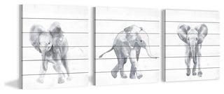 Baby Elephant Walk Triptych, 3-Piece Set, 24x24 Panels