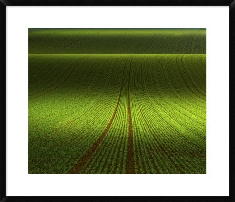 "November Green" Framed Digital Print by Franz Schumacher, 32x28"