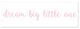 Dream Big Little One 12"x36" Canvas Wall Art, Pink