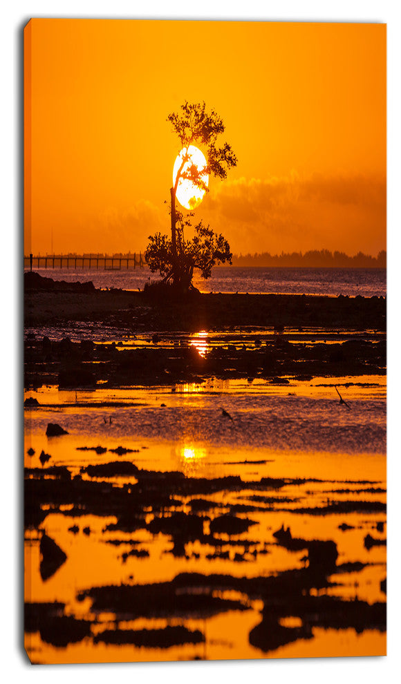 Lonely Mangrove in Florida Coast, African Landscape Canvas Art Print, 16"x32"