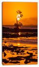 Lonely Mangrove in Florida Coast, African Landscape Canvas Art Print, 16"x32"