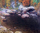 John Joseph Enneking Rocky Pool Wall Decal