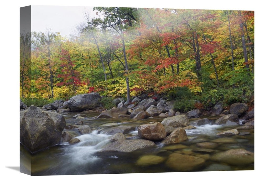 "Swift River Flowing, White Mountains National Forest, New Hampshire" Artwork