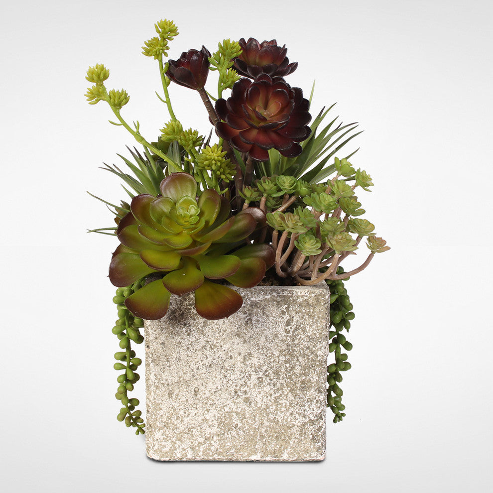 Succulent, Hen and Chicks Coastal Cottage Arrangement in Stone Pot