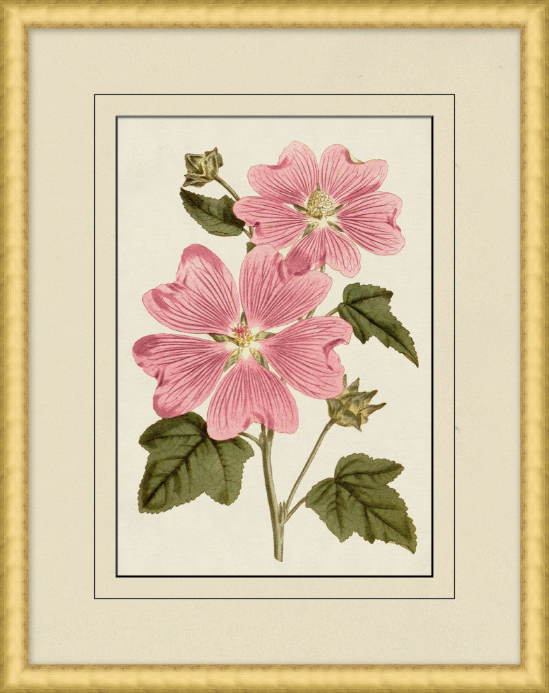 Fresh Flowers 6, Giclee Reproduction Artwork