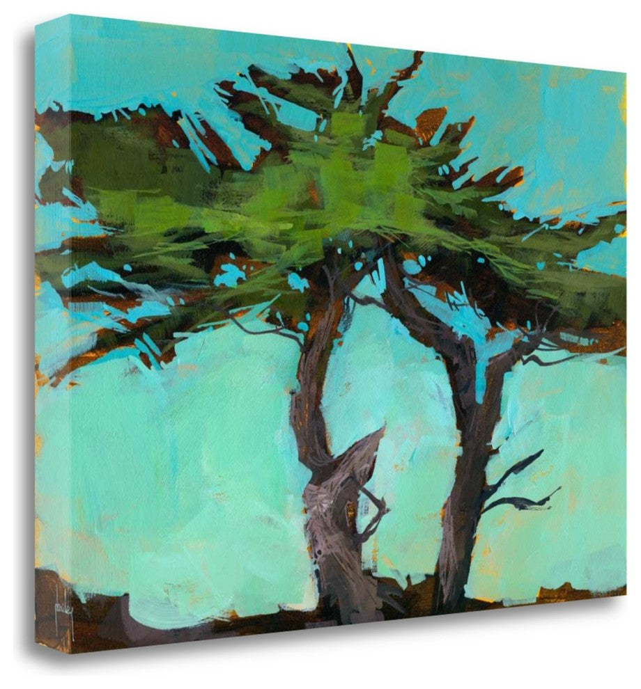 "Cypresses" By Paul Bailey, Giclee Print on Gallery Wrap Canvas, Ready to Hang