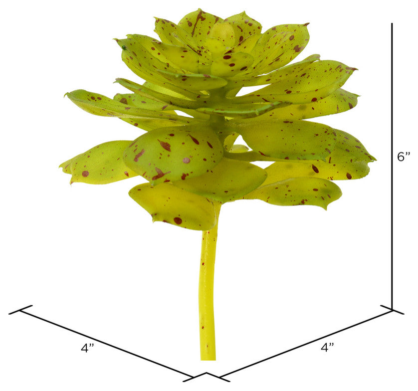 Vickerman Fo180901 6" Artificial Green And Brown Spotted Echeveria Pick