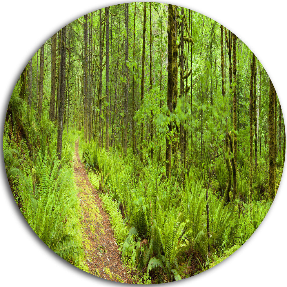 Lush Forest Path Columbia River, Forest Round Metal Wall Art, 23"