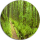 Lush Forest Path Columbia River, Forest Round Metal Wall Art, 23"