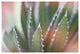 "Dream Desert IV" Digital Paper Print by Sue Schlabach, 50"x34"