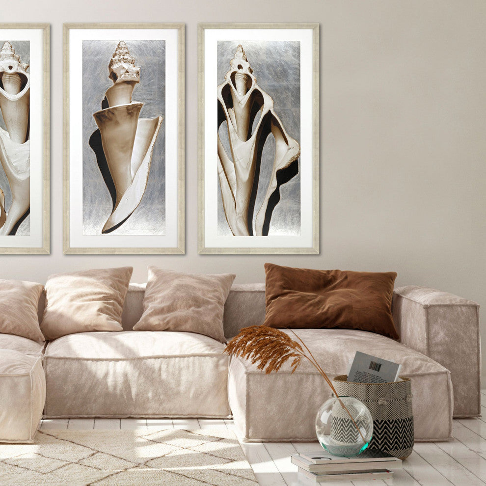 Modern Shell II Framed Art