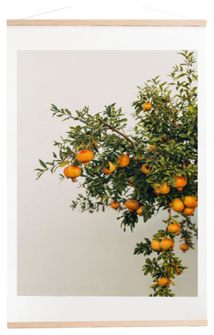 Romana Lilic/La76 Photography Pomegranates Art Print and Hanger
