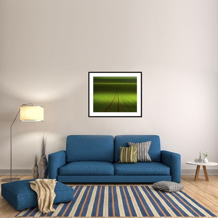 "November Green" Framed Digital Print by Franz Schumacher, 43x36"
