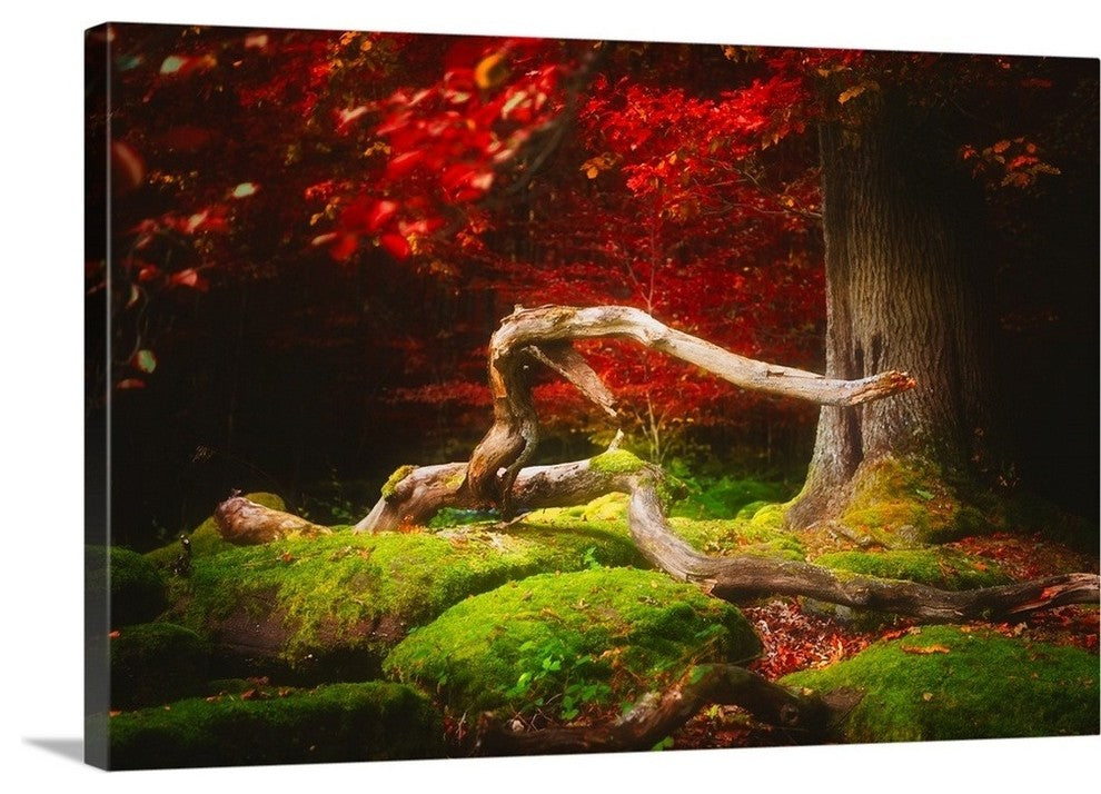 "The Beauty of Silence" Wrapped Canvas Art Print, 48"x32"x1.5"