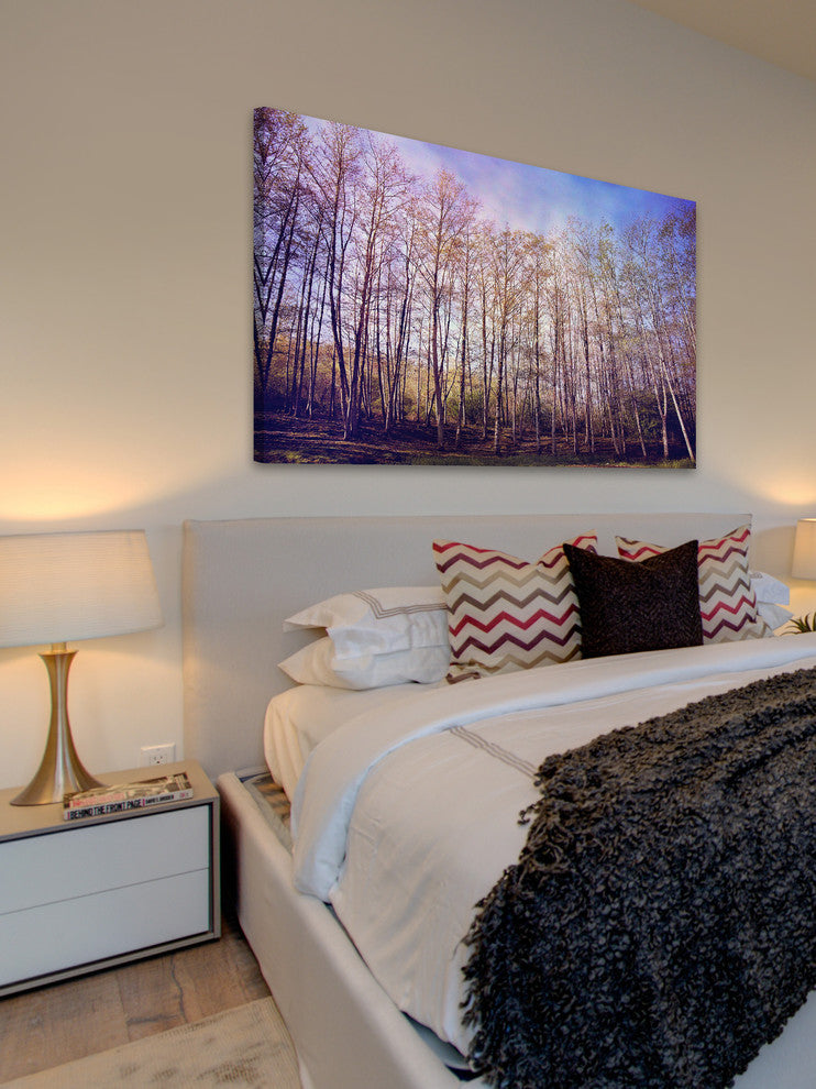 "Forest of Trees" Print on Canvas by Sylvia Cook