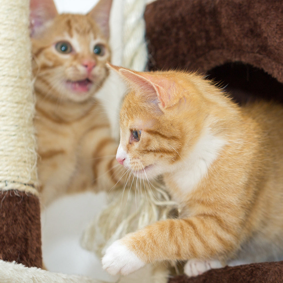 4-Tier Cat Tree 43" Brown White Scratching Posts, Perch Platforms, and Cat Condo