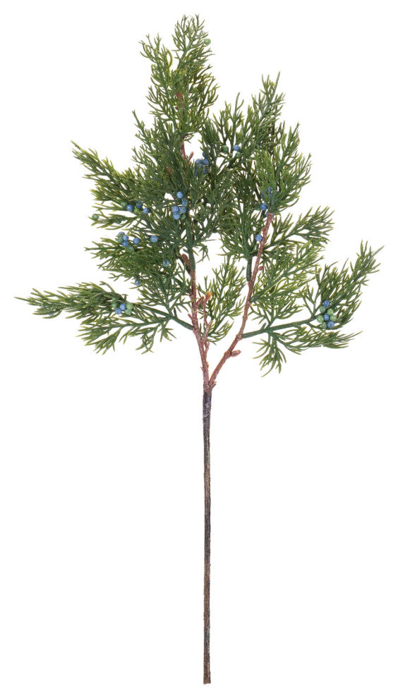 Pine Spray, Set of 12