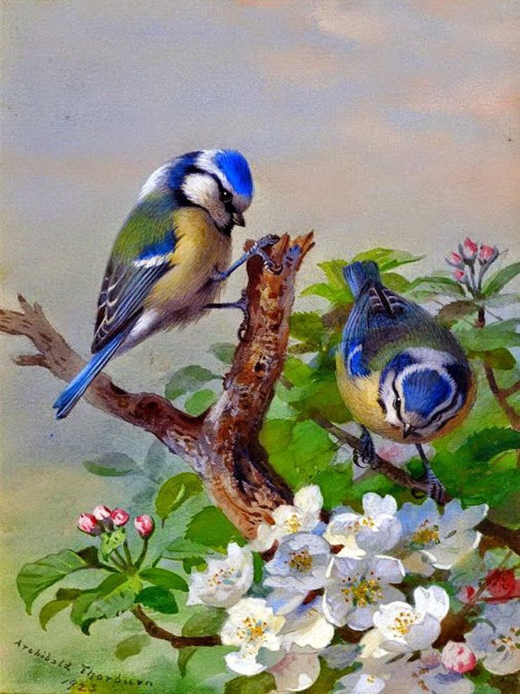 Tile Mural Titmouse On Tree By Archibald Thorburn, 6"x8", Matte