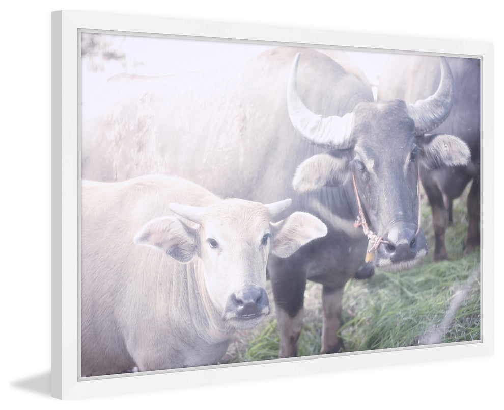 Marmont Hill, "Curious Bovines" Framed Painting Print, 24x16