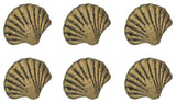 Set of 6 Gold Cast Iron Scallop Sea Shell Drawer Pulls Nautical Cabinet Knobs