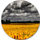 Van Gogh Summer With Clouds, Landscape Round Wall Art, 11"